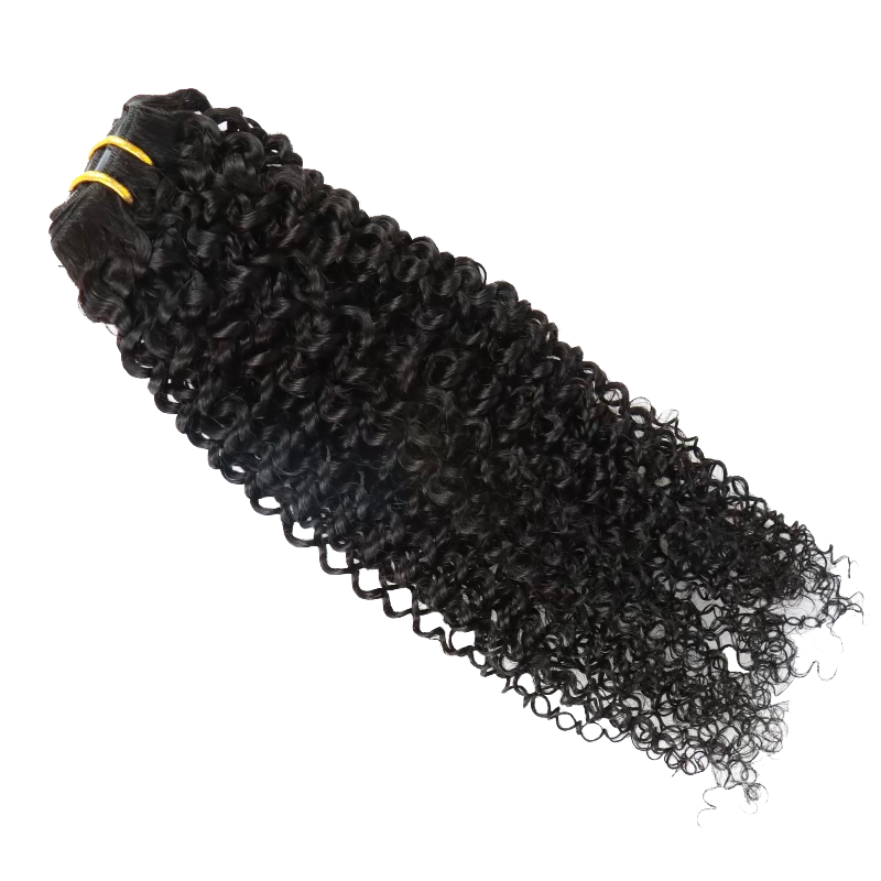 Curly Clip-Ins